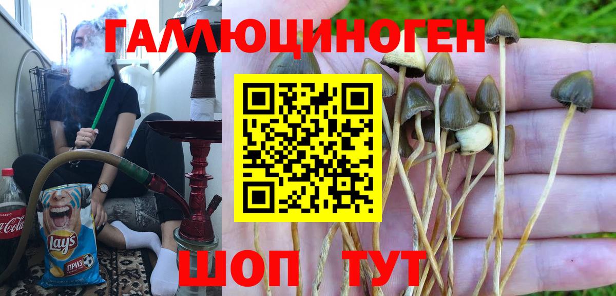 Псилоцибиновые грибы прущие грибы Азнакаево