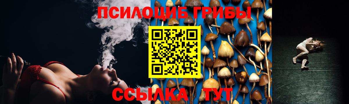 купить  сайты  Вход с VPN  Азнакаево  Галлюциногенные грибы Psilocybe 